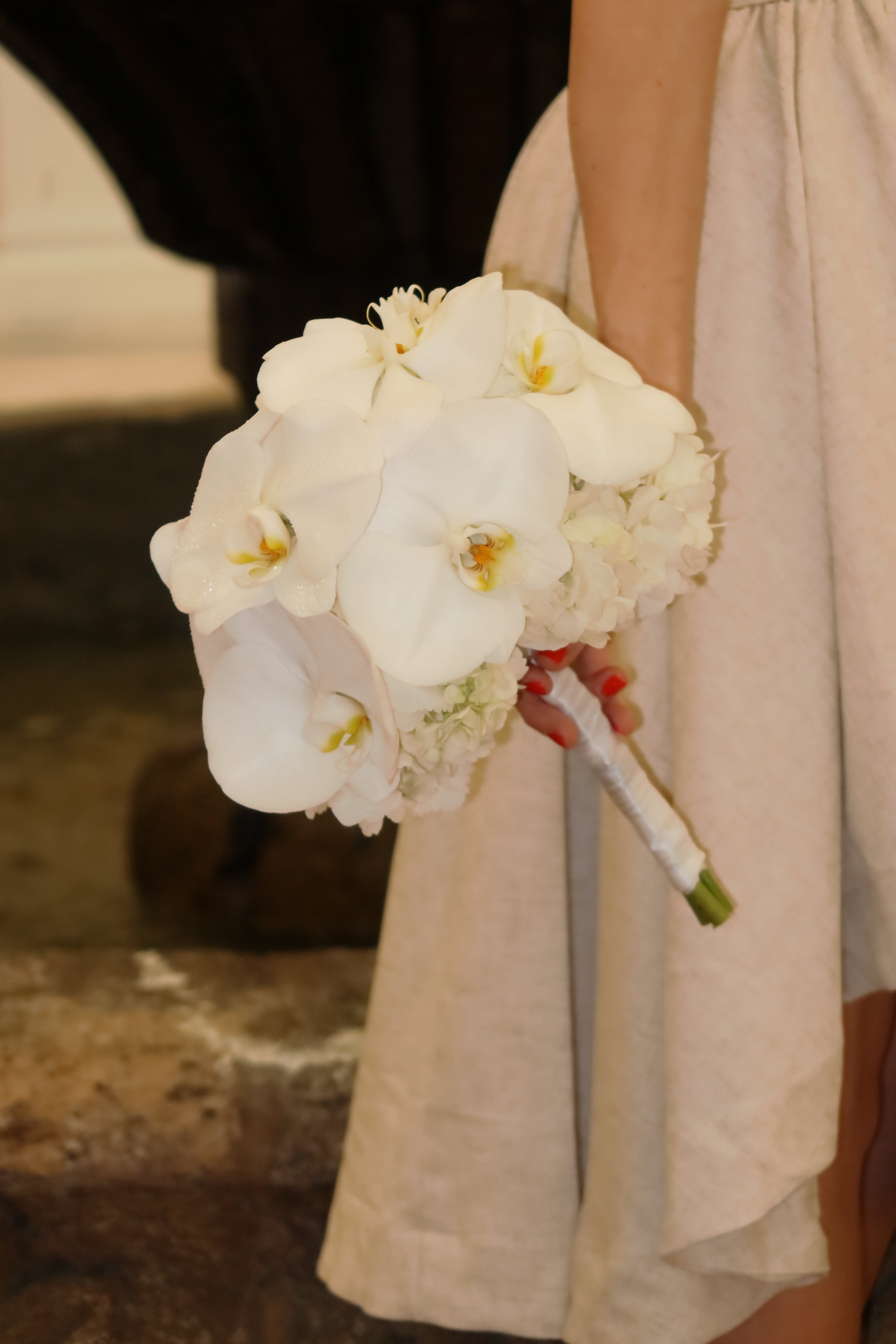 Pearl Orchid